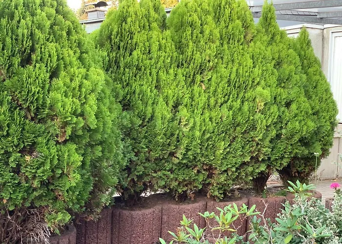 Top günstiges Hotel Moers